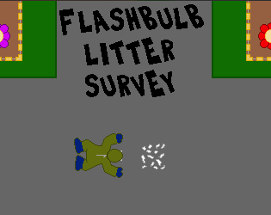 Flashbulb Litter Survey Image