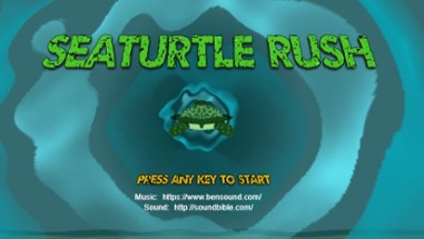 Sea Turtle Rush Image