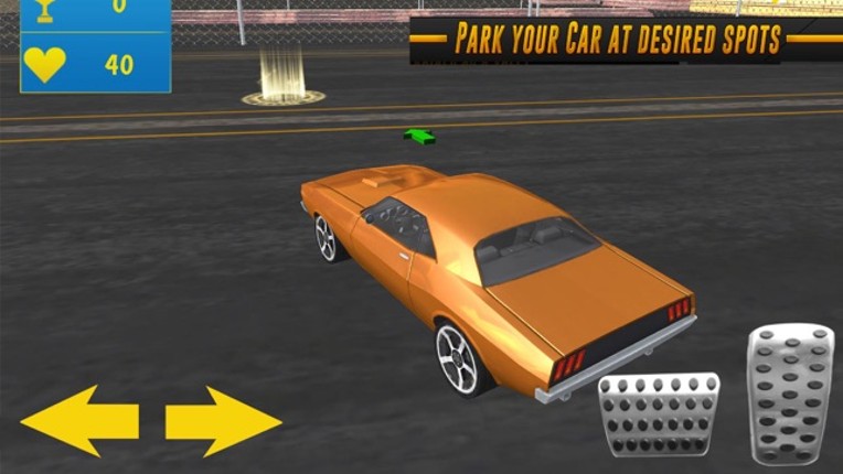 Mr Car Parking Driver Image