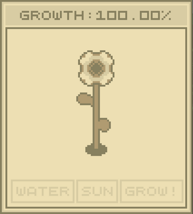 24-Hour Growth Image