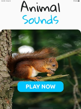 Animal Sounds Player screenshot