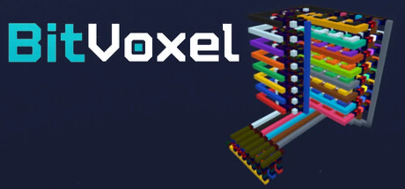 BitVoxel Image