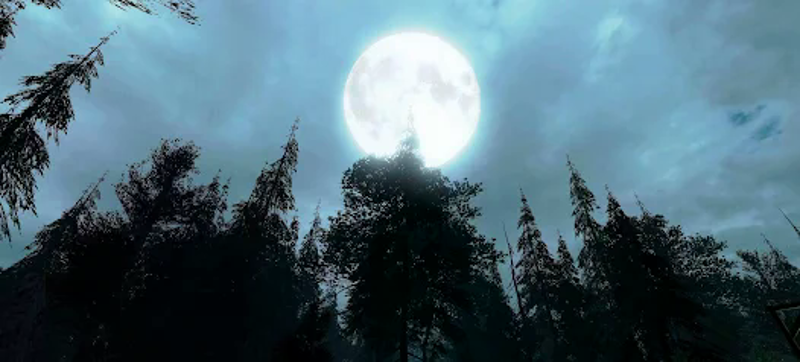 VR Scary Forest screenshot