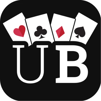 Ultimate Bridge Image