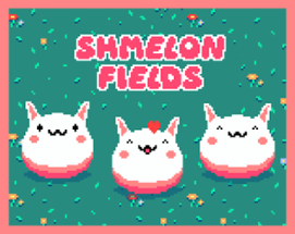 Shmelon Fields Image