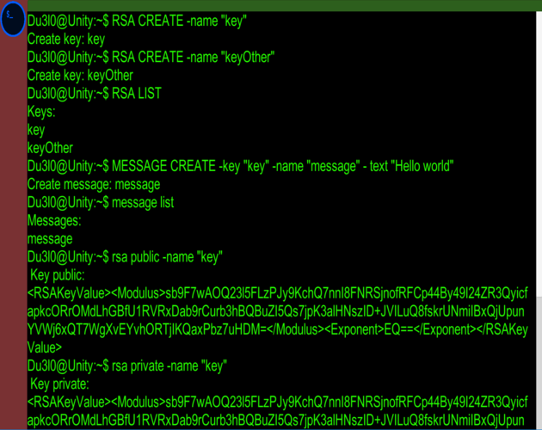 Terminal Unity with RSA Image