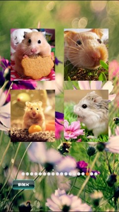 Hamster Puzzles screenshot