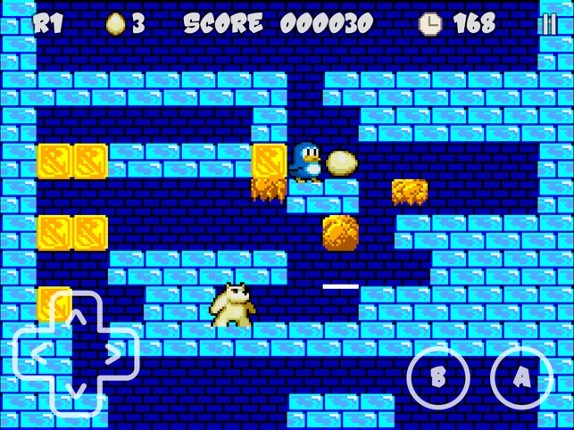 Penguin Land Classic Image