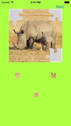 Safari Animals Jigsaw Puzzles screenshot