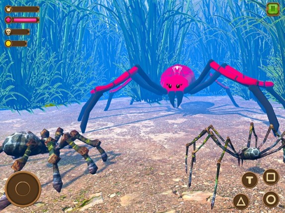 Wild Spider - Insect Simulator screenshot