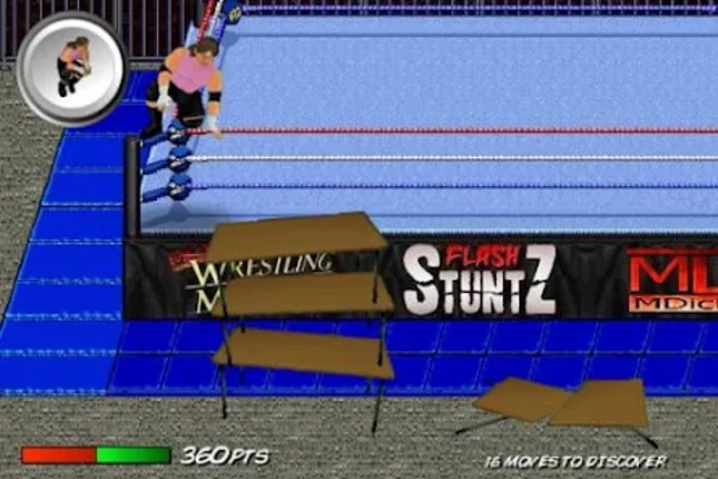Flash StuntZ Image