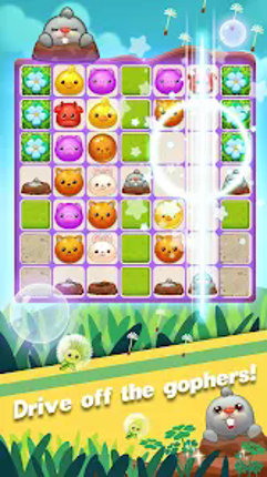 Pet Frenzy Image