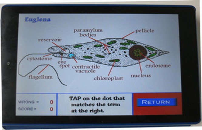 Label that Diagram - Cells Image