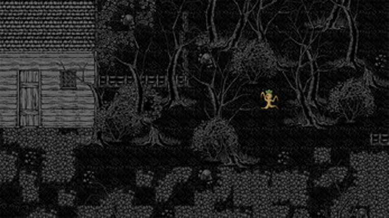 The Witch Tree Image