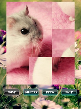 Hamster Puzzles screenshot