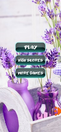 Hamster Puzzles Image