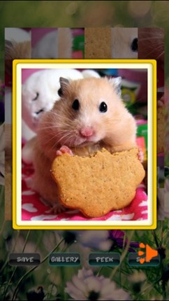 Hamster Puzzles screenshot