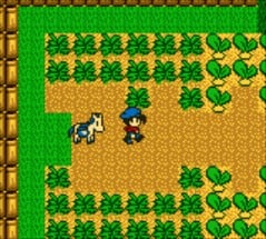 Harvest Moon GB Image