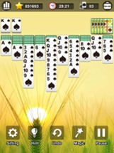 Classic Spider Solitaire． Image