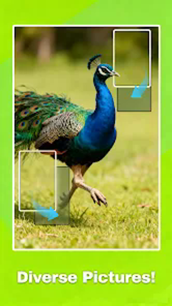 Jigscapes Puzzle Image