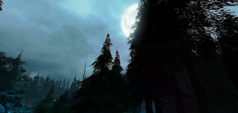 VR Scary Forest Image