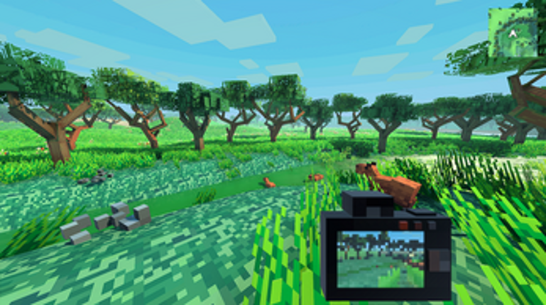 Animal Picture screenshot