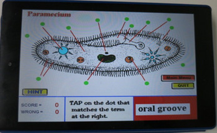 Label that Diagram - Cells screenshot