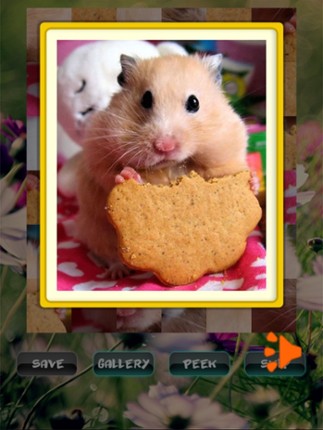 Hamster Puzzles screenshot