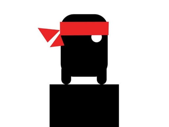 Ninja Stick Image