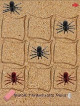 Tic-Tac-Tarantula Image