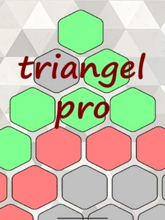 Triangel Pro screenshot