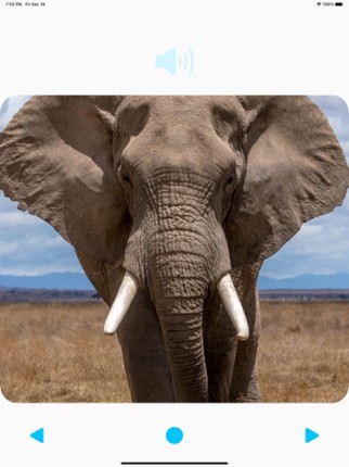 Animal Sounds Player screenshot
