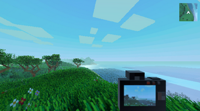 Animal Picture Image