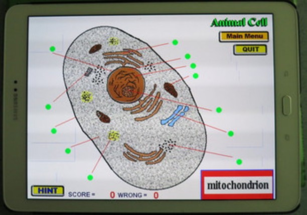 Label that Diagram - Cells screenshot