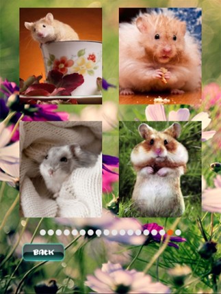 Hamster Puzzles screenshot