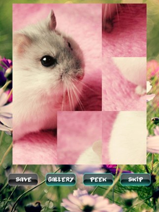 Hamster Puzzles screenshot