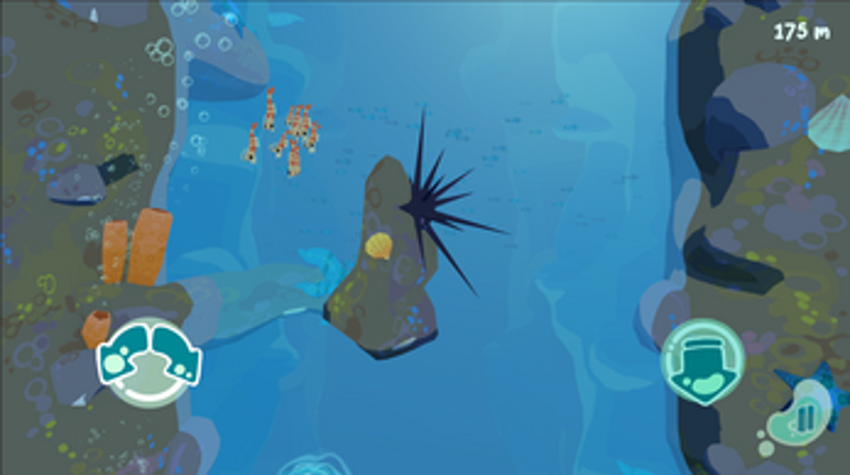 Krill Krossing Image