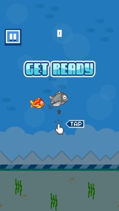 Little Flipper Fall- The Adventure of a Tiny, Flappy, Flying, Bird Fish with Splashy Birds Wings Image