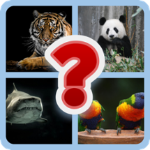 Animal Trivia: Ultimate Guess Challenge Image