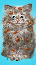 Cat Makeover Image