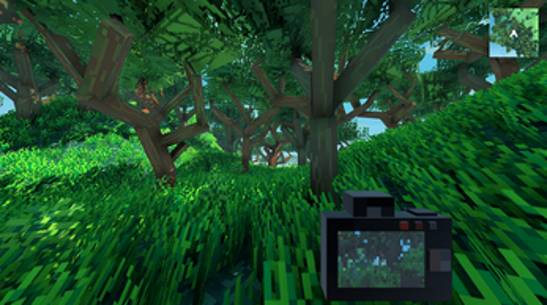 Animal Picture Image