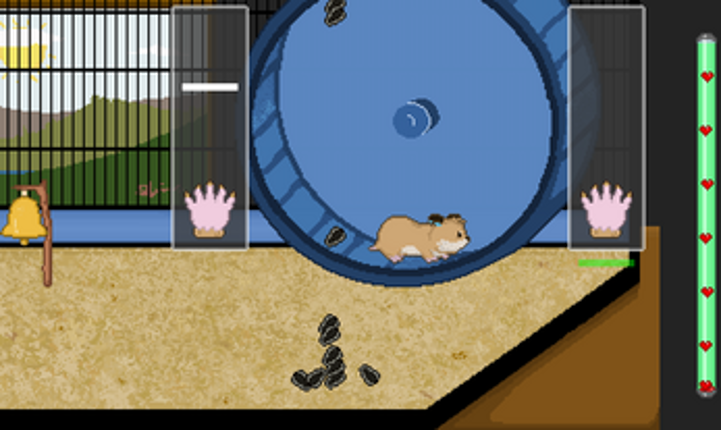 Hamster Habits Image
