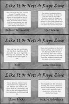 Like It Or Not: A Rape Zine Image