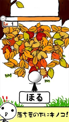 OhMushroom Image