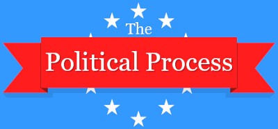 The Political Process Image