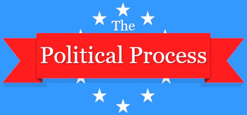 The Political Process Image