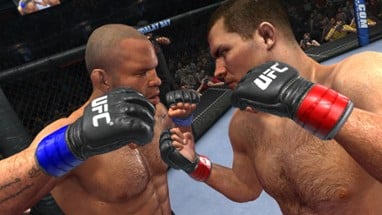 UFC Undisputed 2010 Image