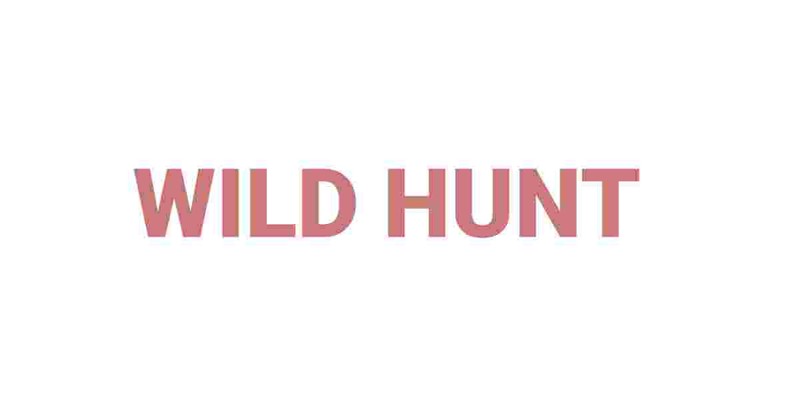 Wild Hunt Image