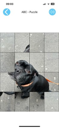 ABC-Puzzle Image