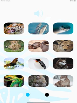 Animal Sounds Player screenshot